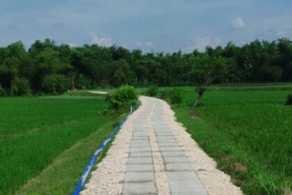 4bd97200 fe01 44d7 bcc2 2b5a16a9dc01