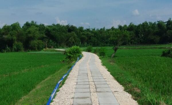 4bd97200 fe01 44d7 bcc2 2b5a16a9dc01