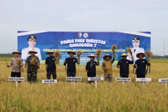 5228be25 3107 45ea bece 701d7cdbc12e Sedang