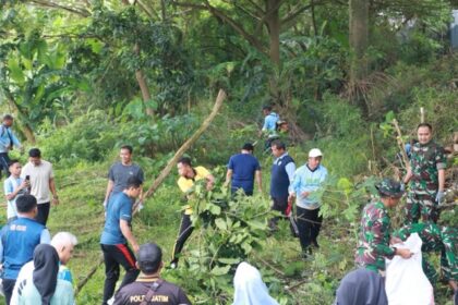 F6fe1518 7e91 48eb 843f 2e13e58e5f70 Sedang