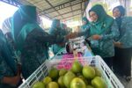 IMG 1265 Sedang