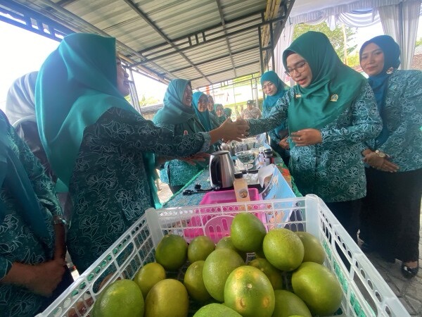 IMG 1265 Sedang