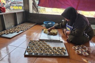 IMG 1403 Sedang