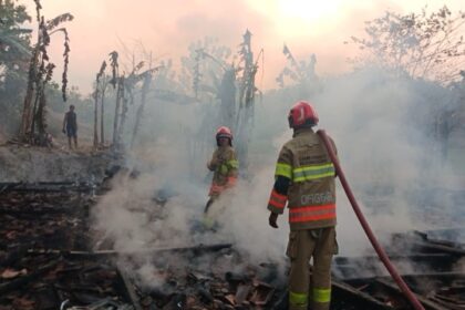 IMG 1473 Sedang