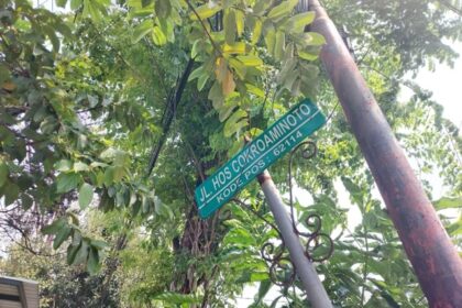 IMG 1664 Sedang