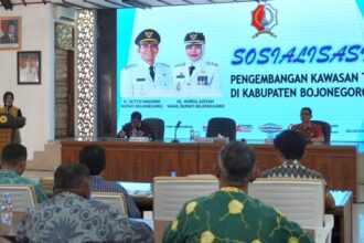 IMG 1844 Sedang