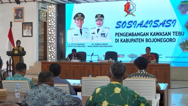 IMG 1844 Sedang