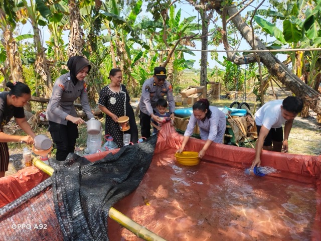 Ef2f83b7 e05e 4161 b133 70330a82504d Sedang
